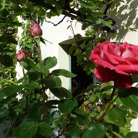 Bed & Breakfast A Livre Ouvert